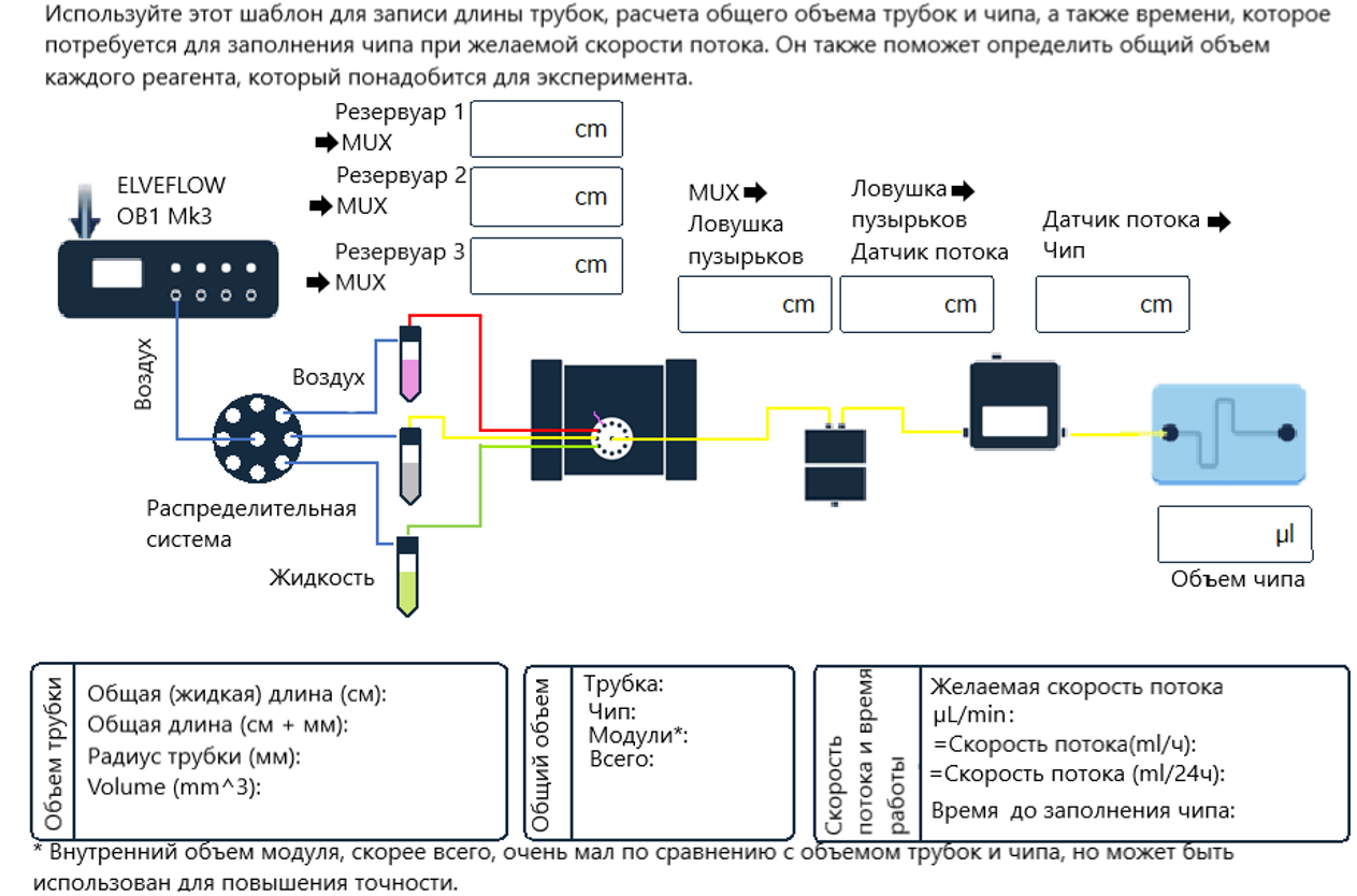 Окрашивание клеток, культивируемых в микрофлюидном чипе в динамических  условиях - azimp-micro.ru