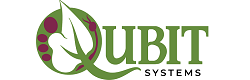 Qubit Systems
